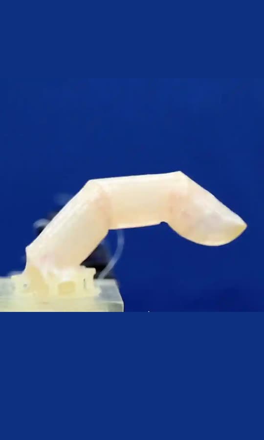 This Robot Finger Is Covered In Living Skin 🤢