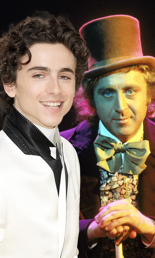 Timothée Posts First Pic As Willy Wonka