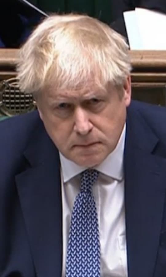 Boris Johnson says he believed Downing Street party 'was work event'