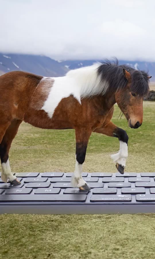 These Horses Will Email Your Boss For You 👀